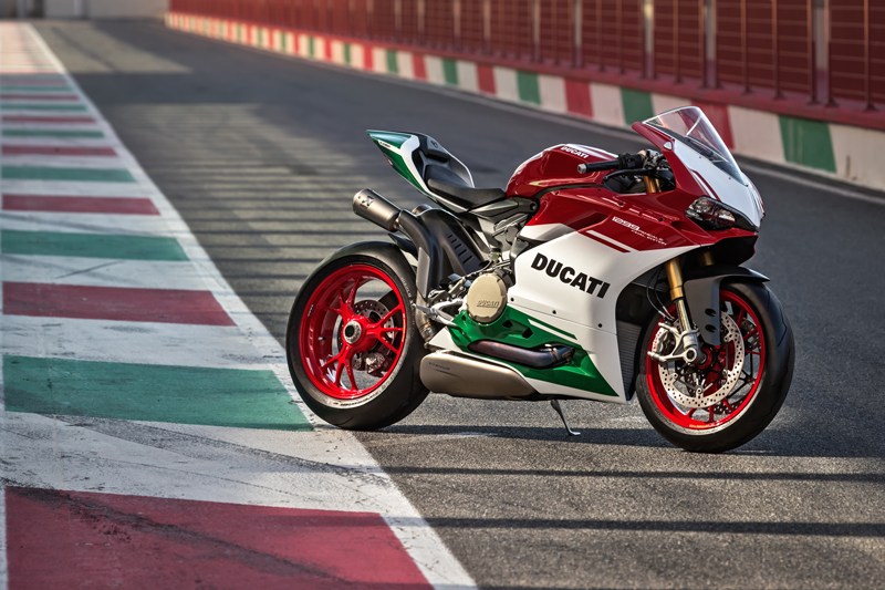 Cici the Ducati Pug 3 Ducati 1299 Panigale R