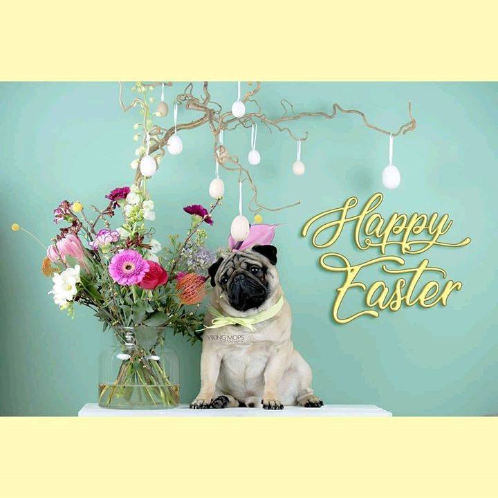 Happy Easter from Join the Pugs and Viking Mops