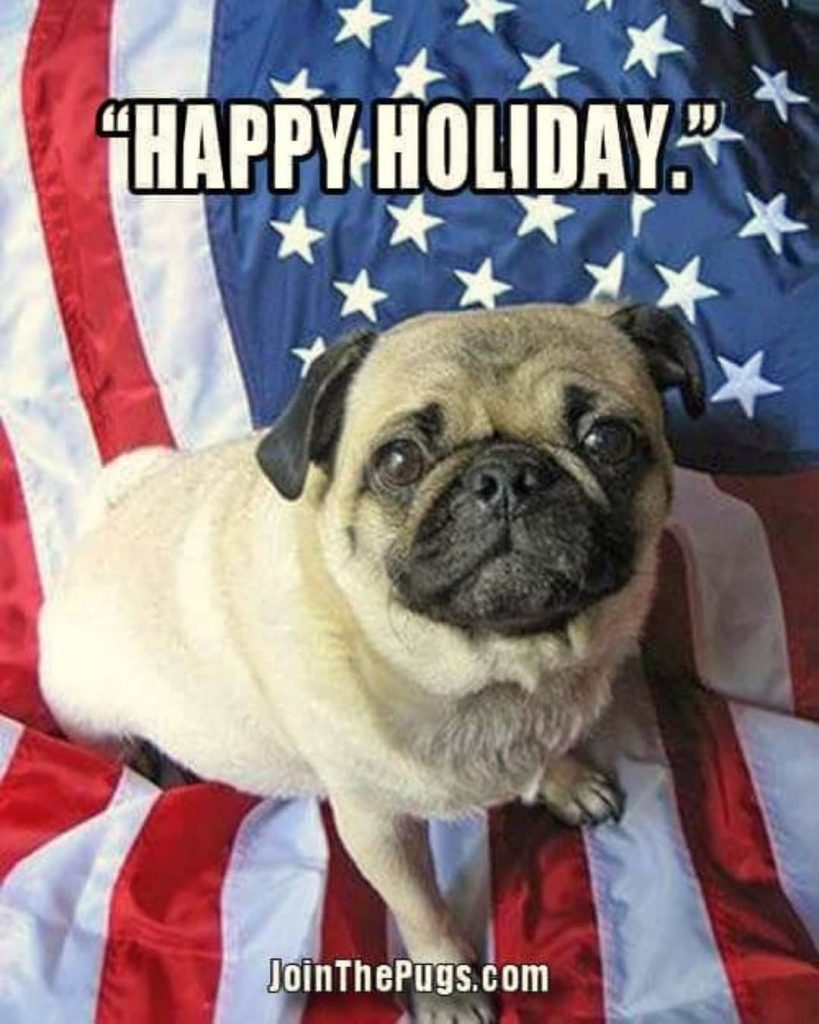 Happy July 4th from Join the Pugs